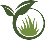 Palm Harbor Landscaping