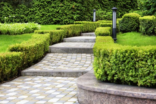 Backyard Remodeling in Palm Harbor