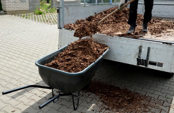 Bulk Mulch Delivery in Palm Harbor