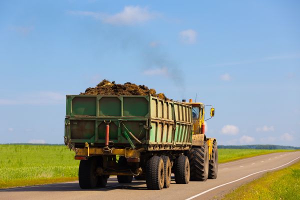 Bulk Soil Delivery in Palm Harbor