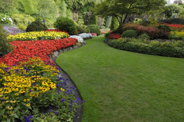 Landscaping Maintenance in Palm Harbor