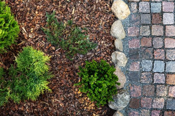 Mulch Spreading in Palm Harbor