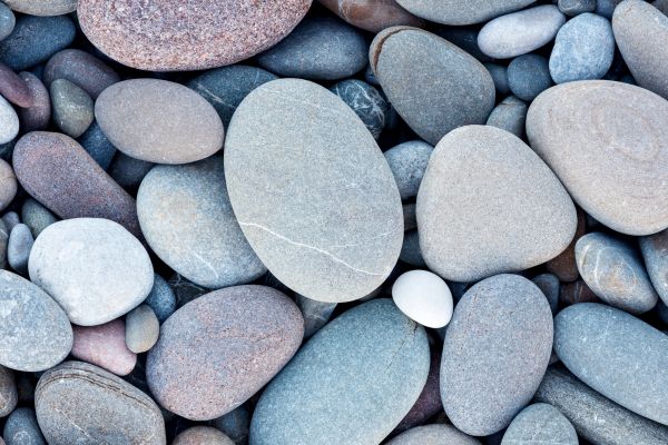 River Rock Delivery in Palm Harbor