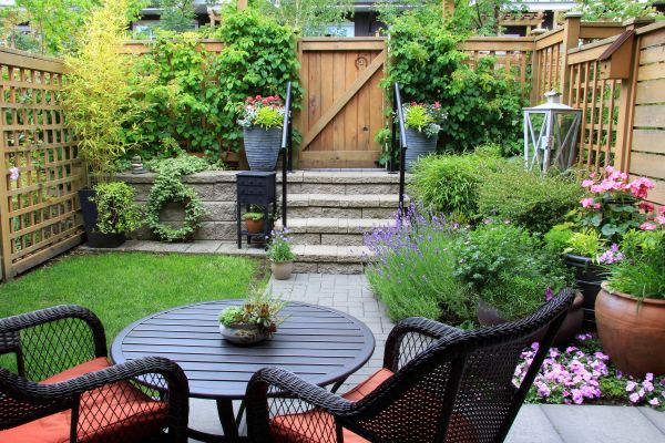 Small Yard Landscaping in Palm Harbor