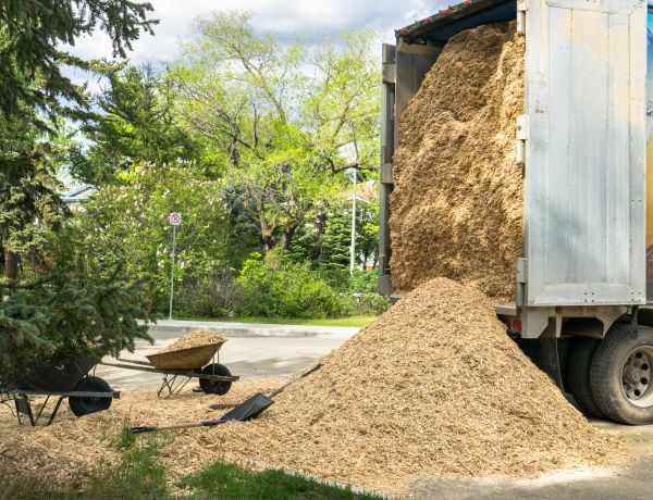 Wood Chips Delivery in Palm Harbor