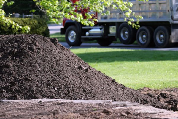 Yard Dirt Delivery in Palm Harbor