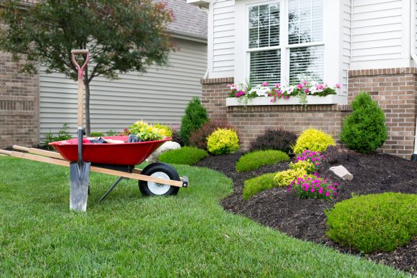 Landscape Maintenance Service in Palm Harbor