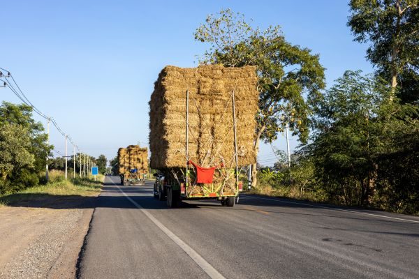 Pine Straw Delivery in Palm Harbor