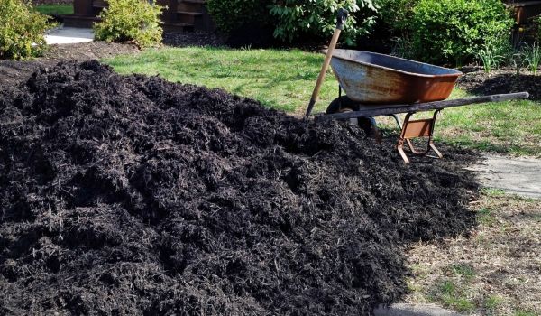Black Mulch Delivery in Palm Harbor