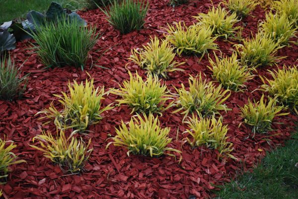 Mulch Landscaping in Palm Harbor