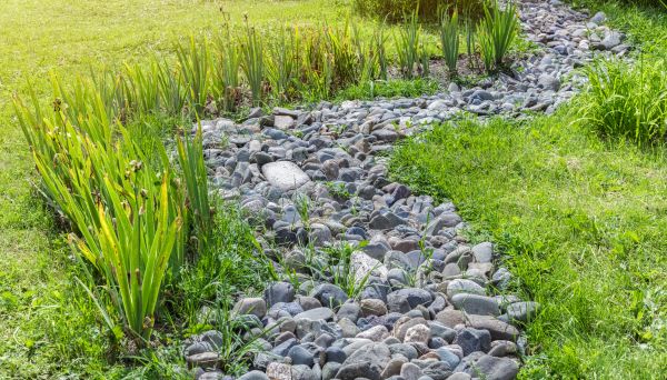 River Rock Garden Installation in Palm Harbor