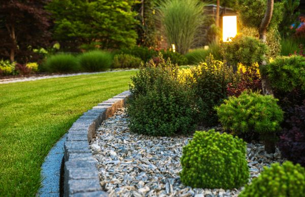 Home Landscaping in Palm Harbor