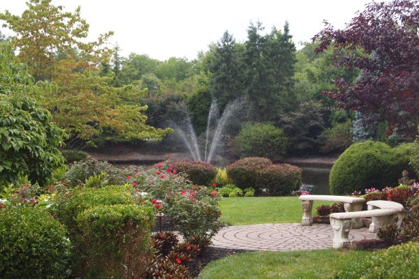 Courtyard Design Service in Palm Harbor