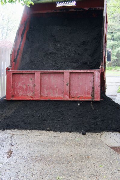 Topsoil Service in Palm Harbor