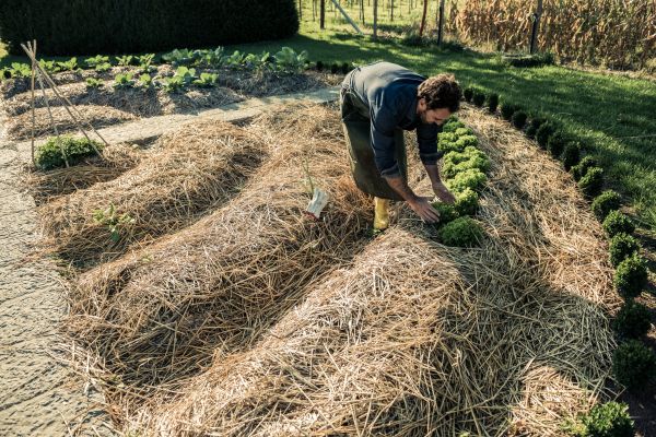 Straw Mulching Service in Palm Harbor