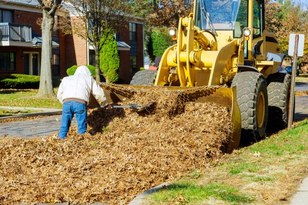 Mulch Hauling in Palm Harbor