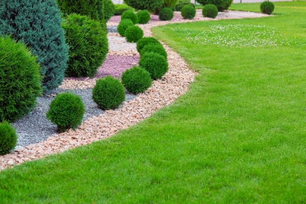 Edging Stones Installation in Palm Harbor