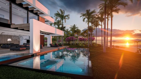 Coastal Landscaping in Palm Harbor