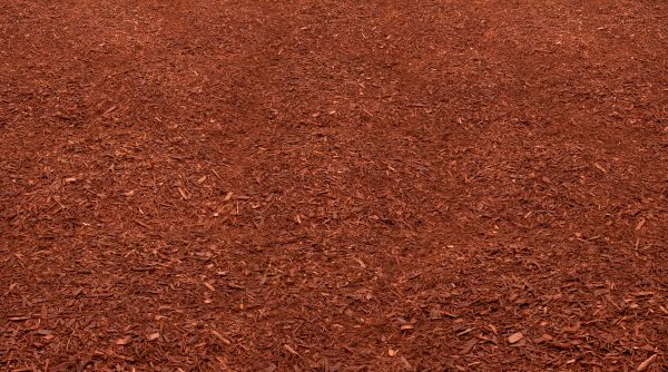 Red Mulch Delivery in Palm Harbor