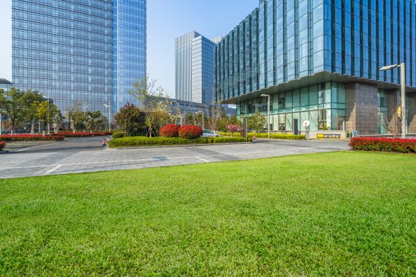 Industrial Landscaping Service in Palm Harbor
