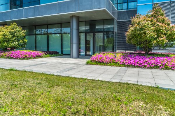 Commercial Gardening in Palm Harbor