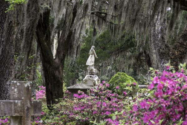Cemetery Landscaping in Palm Harbor