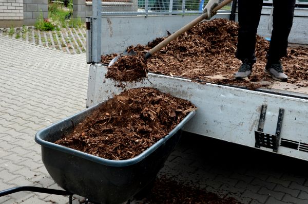 Cypress Mulch Delivery in Palm Harbor