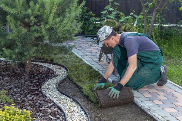 Landscaping Modification in Palm Harbor