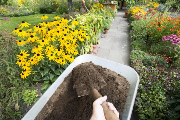 Topsoil Replacement in Palm Harbor