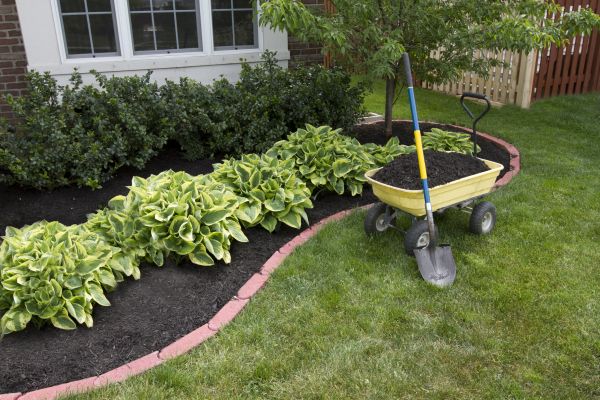 Landscape Mulching in Palm Harbor