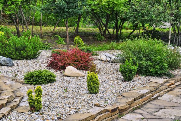 Hardscape Landscaping in Palm Harbor