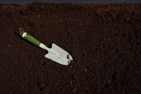 Rich Soil Delivery in Palm Harbor