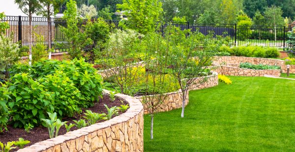 Yard Makeover Service in Palm Harbor