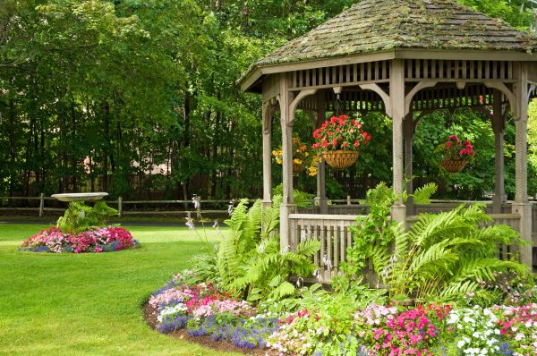 Backyard Landscaping Service in Palm Harbor