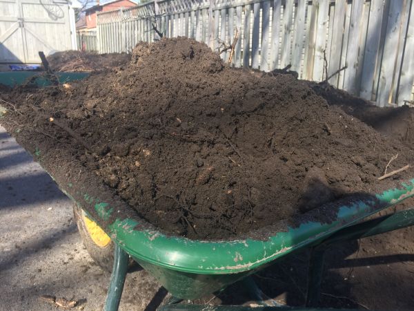 Residential Dirt Delivery in Palm Harbor