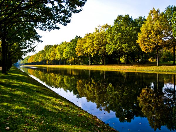 Bank Landscaping in Palm Harbor