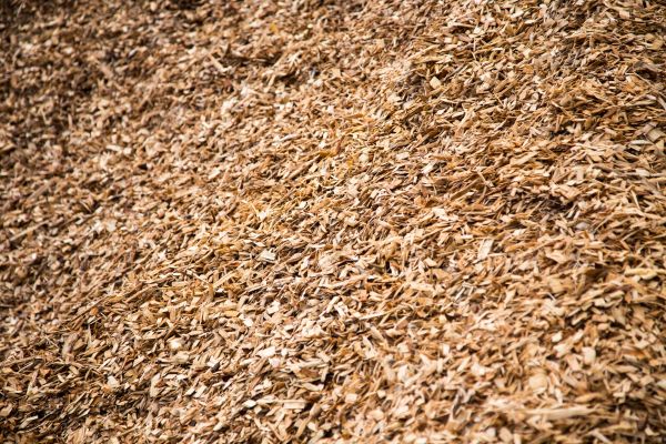 Hardwood Mulch Delivery in Palm Harbor