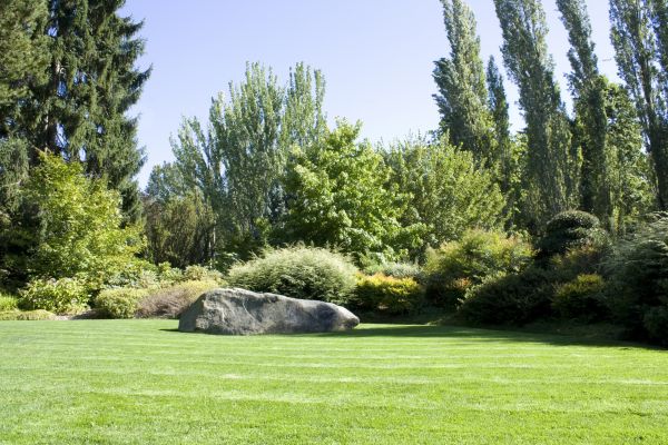 Yard Enlargement in Palm Harbor