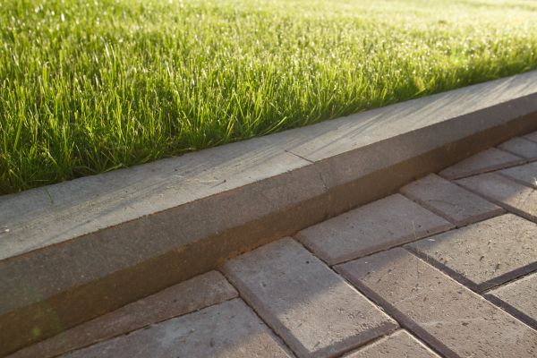 Lawn Edging Replacement in Palm Harbor