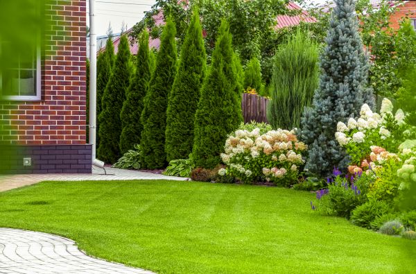 Spring Landscaping in Palm Harbor