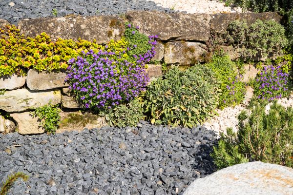 Landscaping Rocks Installation in Palm Harbor