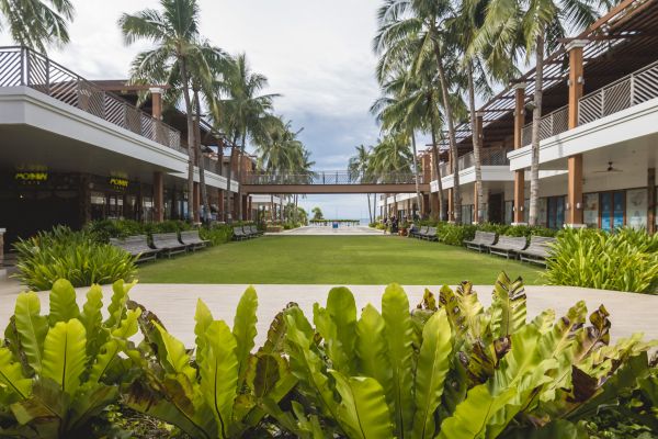 Commercial Lawn Renovation in Palm Harbor
