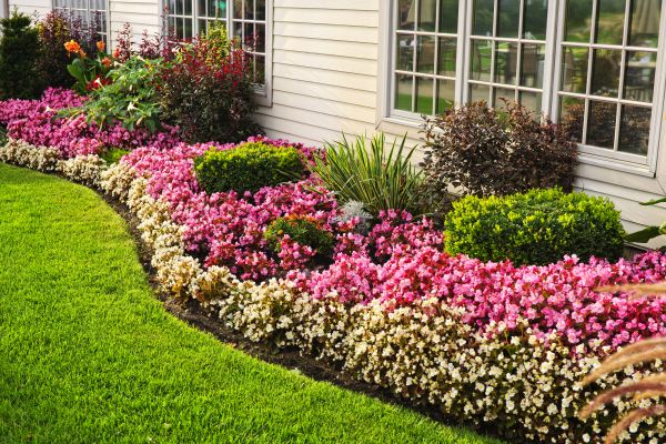 Garden Landscape Design in Palm Harbor