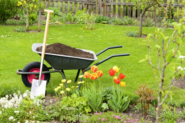 Spring Yard Renovation in Palm Harbor