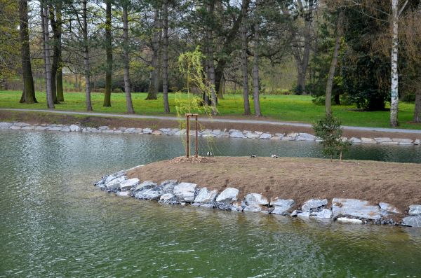 Pond Landscaping Service in Palm Harbor