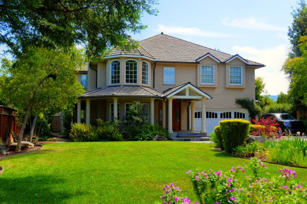 Large Yard Landscaping in Palm Harbor
