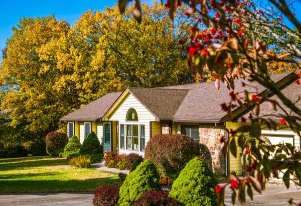 Ranch Landscaping in Palm Harbor