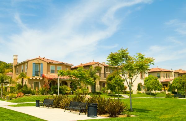 Community Landscaping in Palm Harbor