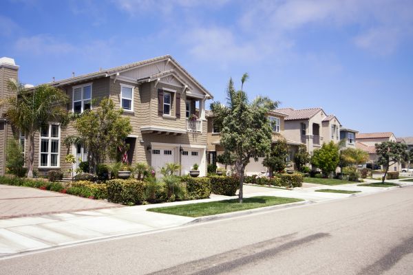 Neighborhood Landscaping in Palm Harbor
