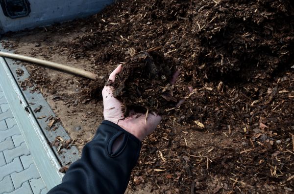 Condo Mulching in Palm Harbor